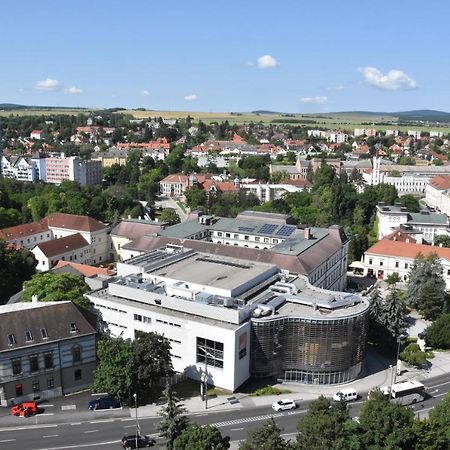 Panorama View Family Apartment Veszprem Exterior photo