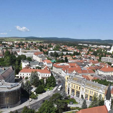 Panorama View Family Apartment Veszprem Exterior photo